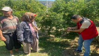 Muğlada zararlı kontrolü