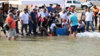 Muğladaki baraj ve göletlere 370 bin sazan yavrusu bırakıldı