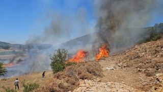 Muğlanın Menteşe İlçesinde tarım arazisi yangını