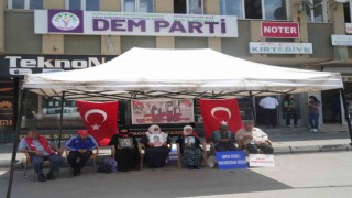 Muşlu annelerin evlat nöbeti devam ediyor