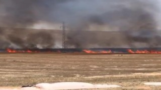 Nevşehirde 100 dekar tarım arazisi kül oldu