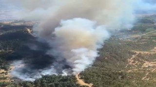 Ödemişte orman yangını