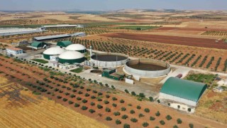 Ödüllü çevre dostu yeşil projenin etkileri sürüyor