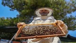 Oğlunun ölümünün ardından dedesinden kalma arıcılık mesleğiyle hayata tutundu