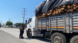 Orman emvali taşıyan araçlar tek tek kontrol edildi