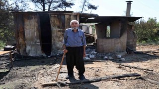 Orman yangınında evi yanan yaşlı adam: 80 yıllık evim başımıza yıkıldı