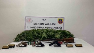 Ormanda ve bahçede uyuşturucu yetiştiren şüpheliler yakalandı