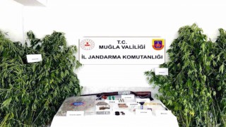 Ortacada kenevir operasyonu