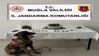 Ortacada uyuşturucu operasyonu: 1 tutuklama