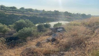 Osmaniyede çıkan anız yangını zeytin bahçesine sıçradı
