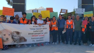 Osmaniyeli Hayvanseverler: 'Ötenazi Tasarısını Geri Çekin!'