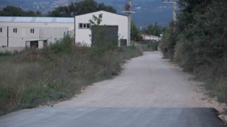 (Özel) Bir köpek dehşeti de Bursadan...