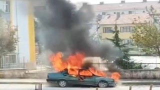 Park halindeki araç küle döndü