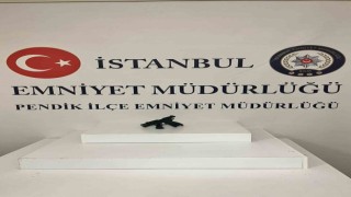Pendikte motosikletli genci silahla tehdit eden 2 şüpheliden biri yakalandı