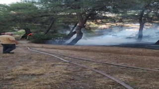 Piknik alanında çıkan yangın ormana sıçramadan söndürüldü