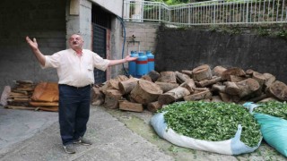 Rizede akrabalar arasında odun bilmecesi