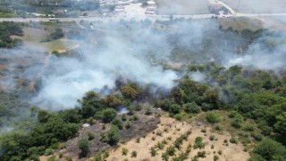 Sakaryada çıkan orman yangını havadan görüntülendi