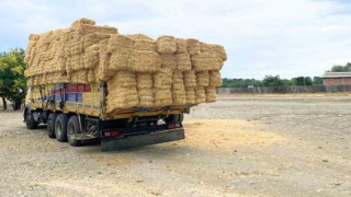 Saman balyaları ile trafiği tehlikeye düşüren sürücüye ceza