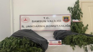 Samsunda jandarmadan uyuşturucu operasyonu: 3 gözaltı