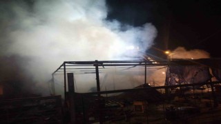 Sancaktepede ahır ve kümes alev alev yandı: 30 tavuk telef oldu