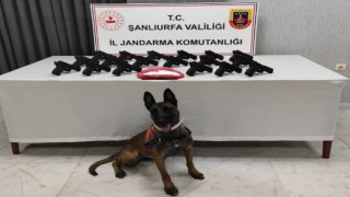 Şanlıurfada 18 tabanca ele geçirildi: 2 gözaltı