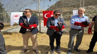 Şanlıurfada 30 kelaynak kuşu göç yoluna bırakıldı