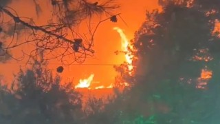 Şanlıurfada korkutan orman yangını