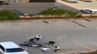 Şanlıurfada ölümüne dayak kamerada
