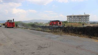 Sazlık alanda çıkan yangın itfaiyenin müdahalesiyle söndürüldü