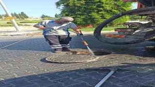 Selçukta haşereyle mücadelede önlemler artırıldı