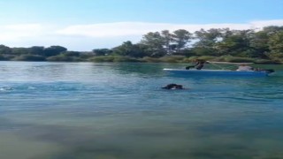 Serinlemek için ırmağa giren genç hayatını kaybetti