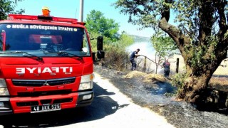 Sigara izmariti yangın çıkardı