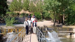 Siirt alabalık üretiminde 243 tona ulaştı