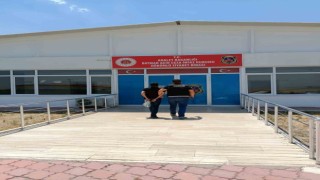 Siirtte firari uyuşturucu hükümlüsü yakalandı