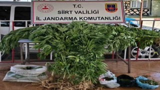 Siirtte uyuşturucu operasyonu