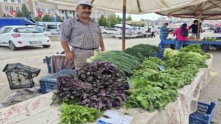Sincanda ‘Üretici Köylü pazarları 4 noktada hizmet veriyor
