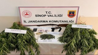 Sinopta uyuşturucu operasyonu: 2 gözaltı
