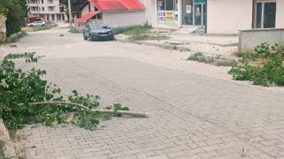 Şiranı fırtına vurdu