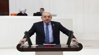 Sokak Hayvanları Yasasına Tepkiler Devam Ediyor "Cinnet Hali"