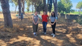Sökede arı kolonileri denetlendi