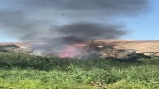 Sulama isteği kabusa döndü, fare yangına neden oldu