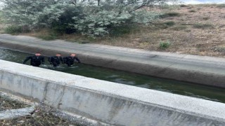 Sulama kanalına düşen yaşlı adamı arama çalışmaları sürüyor