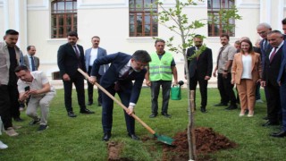 Tarım ve Orman Bakanı İbrahim Yumaklı, Bilecikte çınar fidanı dikti
