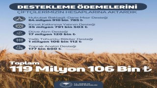 Tarım ve Orman Bakanlığı: “119,1 milyon liralık tarımsal destek ödemesi hesaplara aktarıldı”