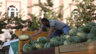Tarlada kalan karpuz, Bursalılara ücretsiz dağıtıldı