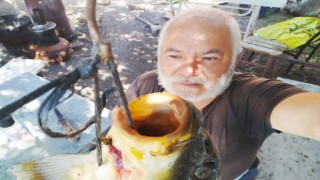 Tarlada oluşan doğal havuzda 5 buçuk kiloluk sazan avladı