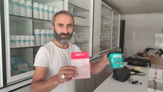 Tarlalarda fare paniği: İlaçlar yetersiz kalıyor