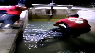 Tarsusta sulama kanalında erkek cesedi bulundu