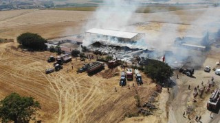 Tekirdağda çiftlik yangını: 15 bin balya saman yandı