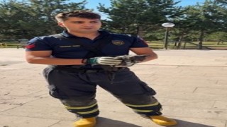 Tuvalete düşen kedi uzun uğraşlar sonucu kurtarıldı